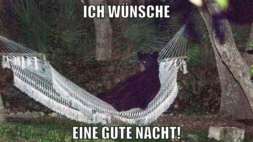 ich wünsche eine gute nacht!