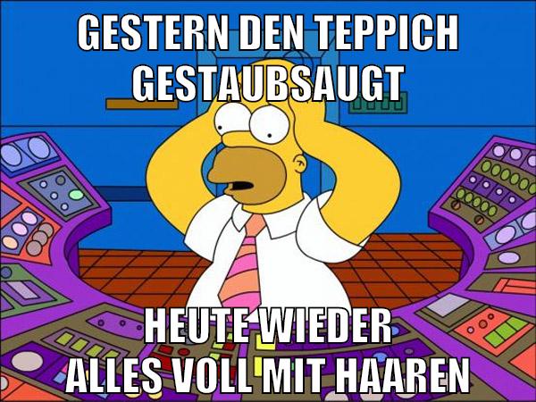 Gestern den Teppich gestaubsaugt heute wieder alles voll mit haaren