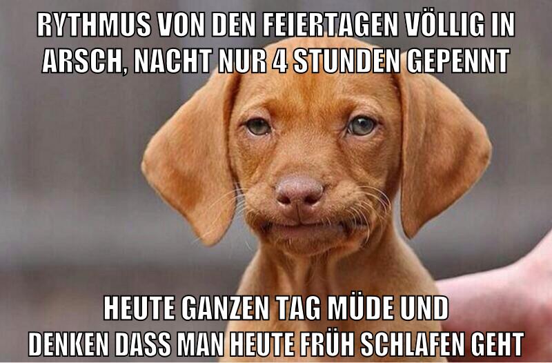 rythmus von den feiertagen völlig in arsch, nacht nur 4 stunden gepennt heute ganzen tag müde und denken dass man heute früh schlafen geht