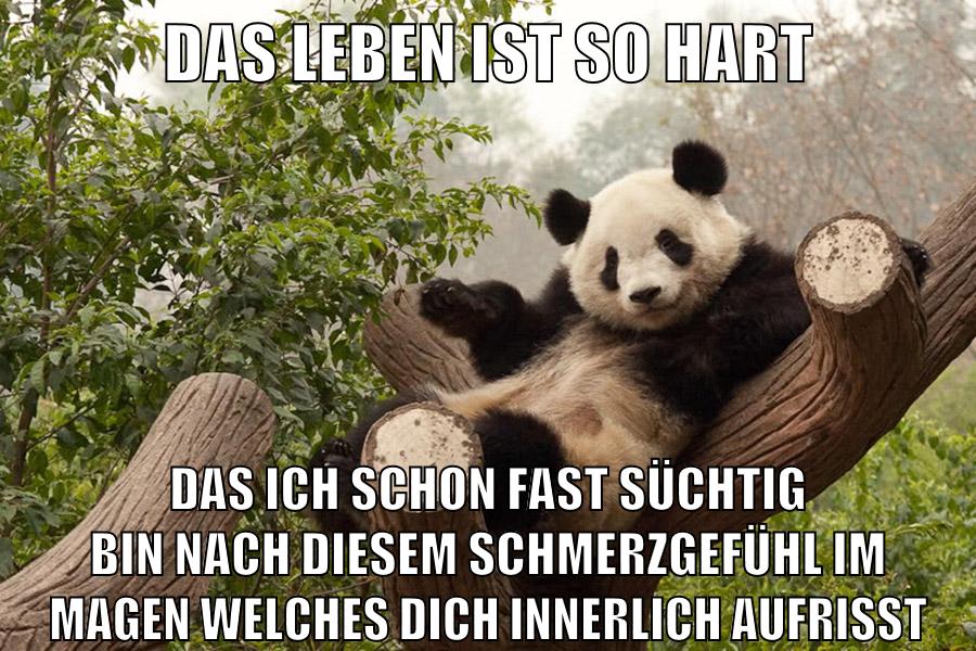 das leben ist so hart das ich schon fast süchtig bin nach diesem schmerzgefühl im magen welches dich innerlich aufrisst
