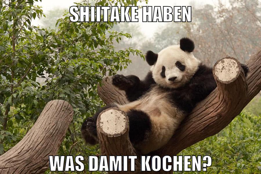 Shiitake haben was damit kochen?