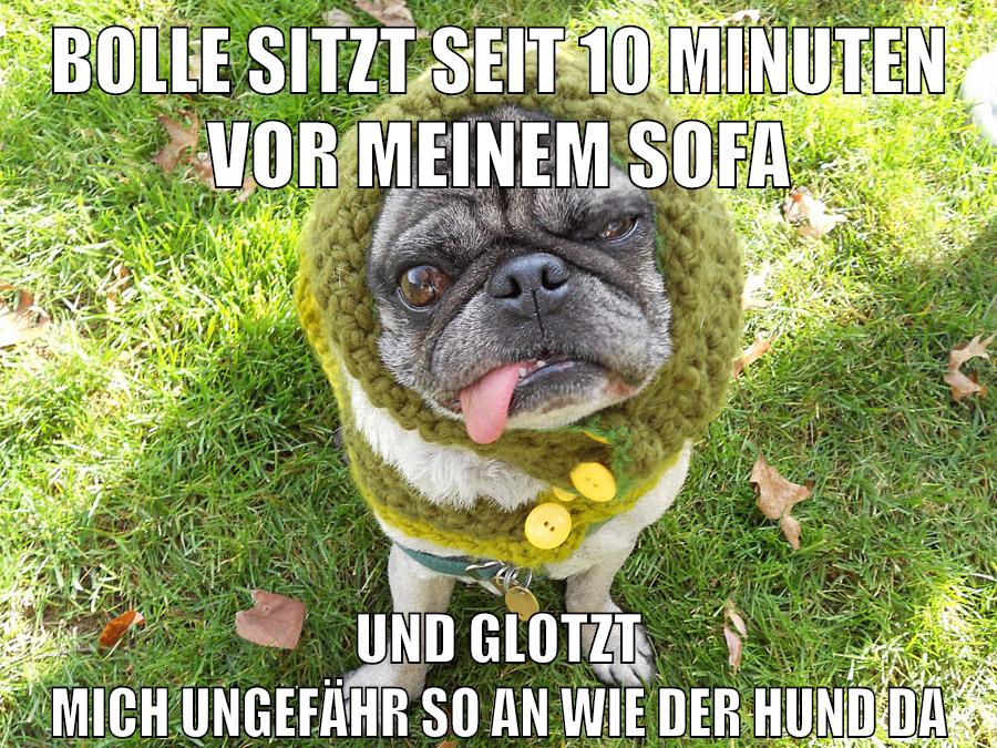bolle sitzt seit 10 minuten vor meinem sofa und glotzt mich ungefähr so an wie der hund da