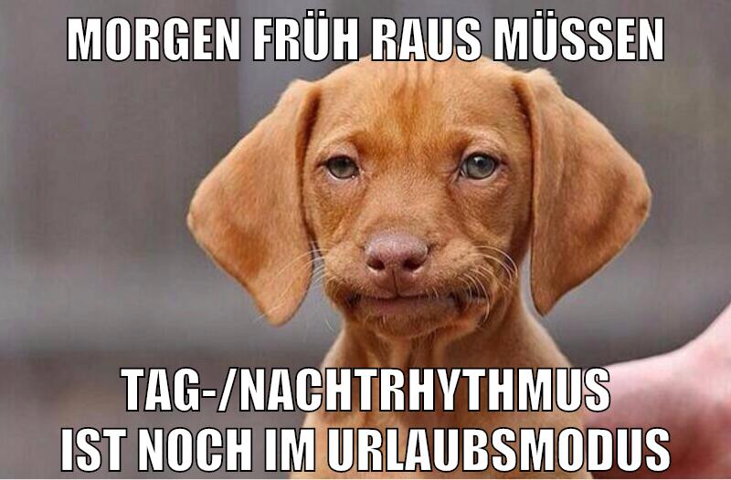 morgen früh raus müssen tag-/nachtrhythmus ist noch im urlaubsmodus