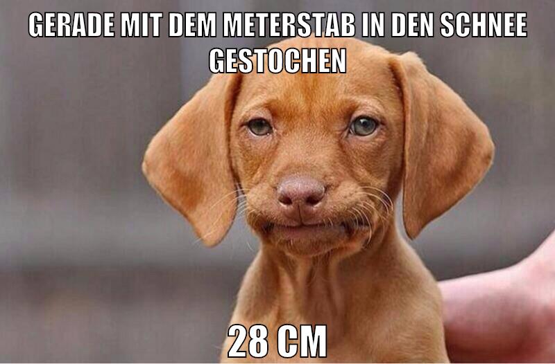 gerade mit dem meterstab in den schnee gestochen 28 cm