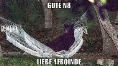 gute n8 liebe 4froinde