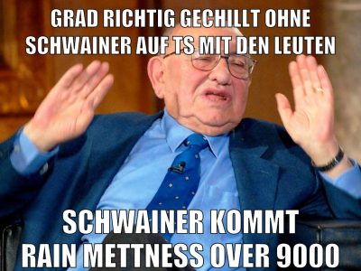 grad richtig gechillt ohne schwainer auf ts mit den leuten schwainer kommt rain mettness over 9000