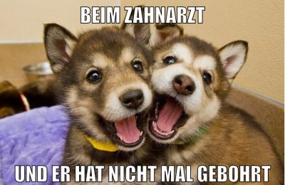 Beim Zahnarzt und er hat nicht mal gebohrt