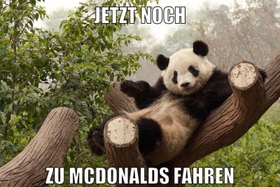 JETZT NOCH ZU MCDONALDS FAHREN