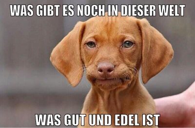 was gibt es noch in dieser welt was gut und edel ist