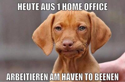 heute aus 1 home office arbeitieren am haven to beenen