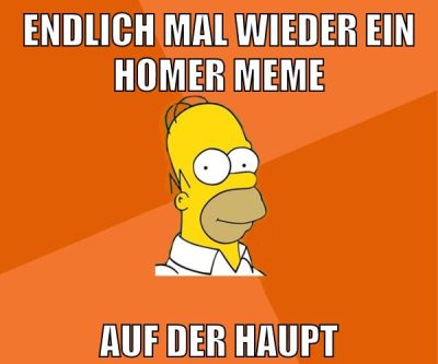 endlich mal wieder ein homer meme auf der haupt