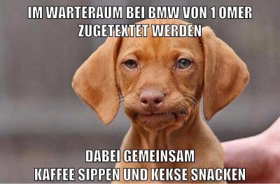 im warteraum bei bmw von 1 omer zugetextet werden dabei gemeinsam kaffee sippen und kekse snacken