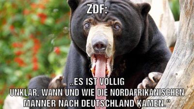 Zdf: „es ist völlig unklar, wann und wie die nordafrikanischen Männer nach Deutschland kamen."