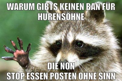 warum gibts keinen ban für hurensöhne die non stop essen posten ohne sinn