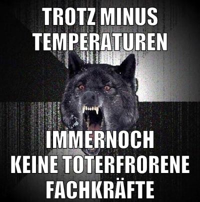 trotz minus temperaturen immernoch keine toterfrorene fachkräfte