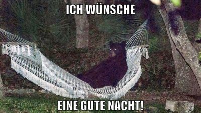ich wünsche eine gute nacht!