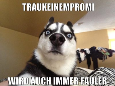TrauKeinemPromi wird auch immer fauler