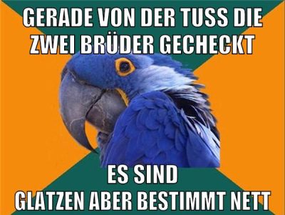 Gerade von der Tuss die zwei Brüder gecheckt es sind glatzen aber bestimmt nett