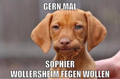 gern mal sophier wollersheim fegen wollen