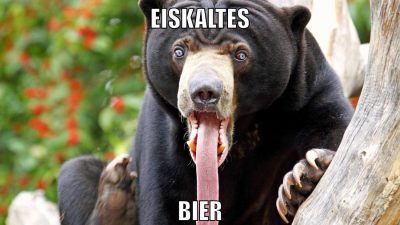 eiskaltes bier