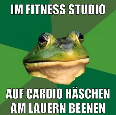 im fitness studio auf cardio häschen am lauern beenen