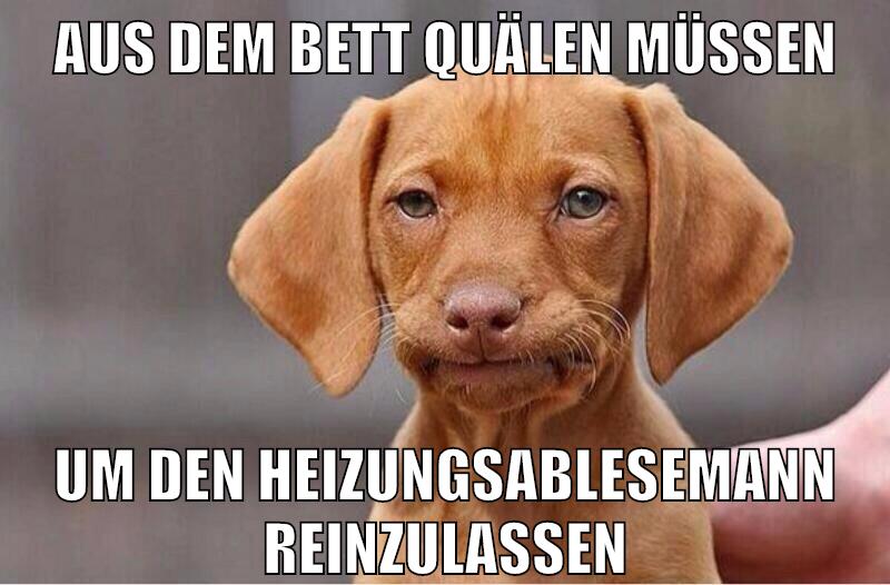 aus dem bett quälen müssen um den heizungsablesemann reinzulassen