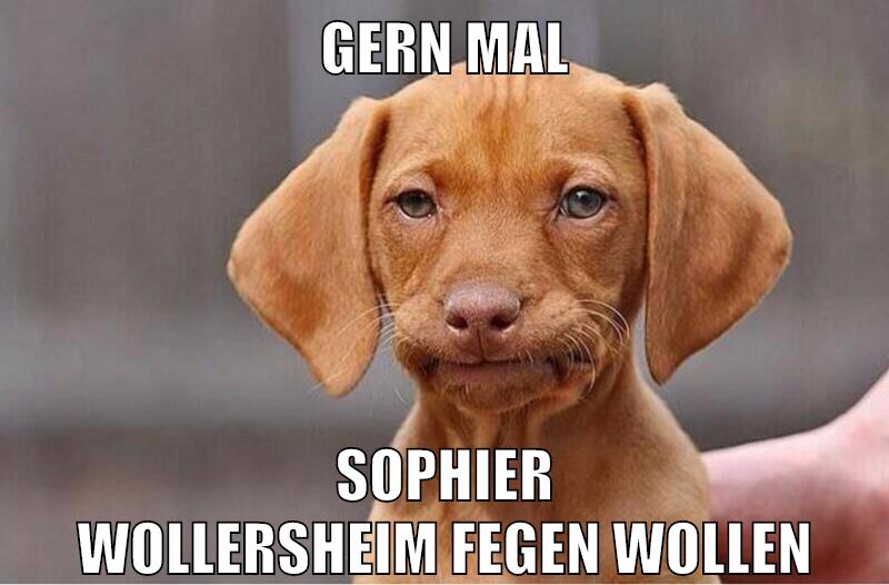 gern mal sophier wollersheim fegen wollen