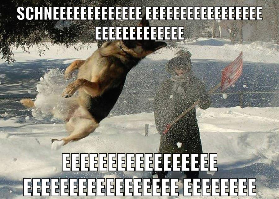SCHNEEEEEEEEEEEEEEEEEEEEEEEEEEEEEEEEEEEEEEEEEEE EEEEEEEEEEEEEEEEEEEEEEEEEEEEEEEEEEEEEEEEEE