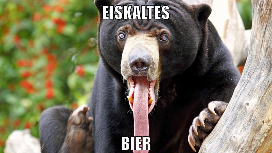 eiskaltes bier