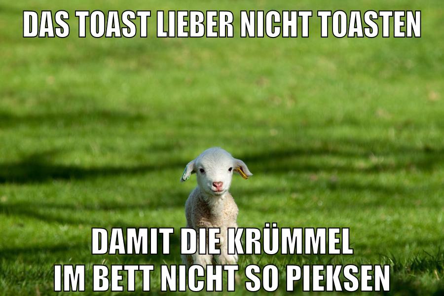 Das Toast lieber nicht toasten Damit die Krümmel im bett nicht so pieksen