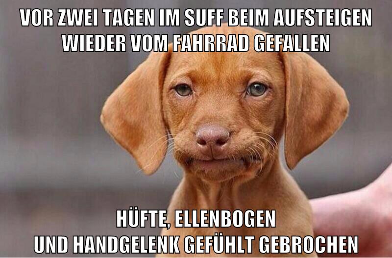 vor zwei tagen im suff beim aufsteigen wieder vom fahrrad gefallen hüfte, ellenbogen und handgelenk gefühlt gebrochen