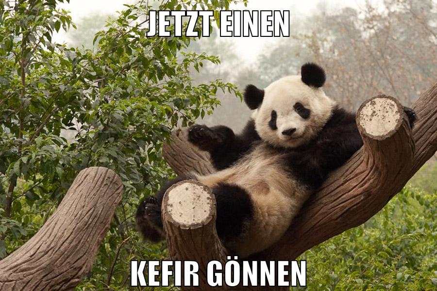 jetzt einen kefir gönnen