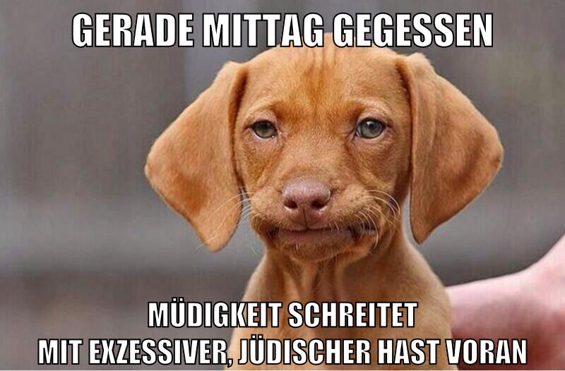 gerade mittag gegessen müdigkeit schreitet mit exzessiver, jüdischer hast voran