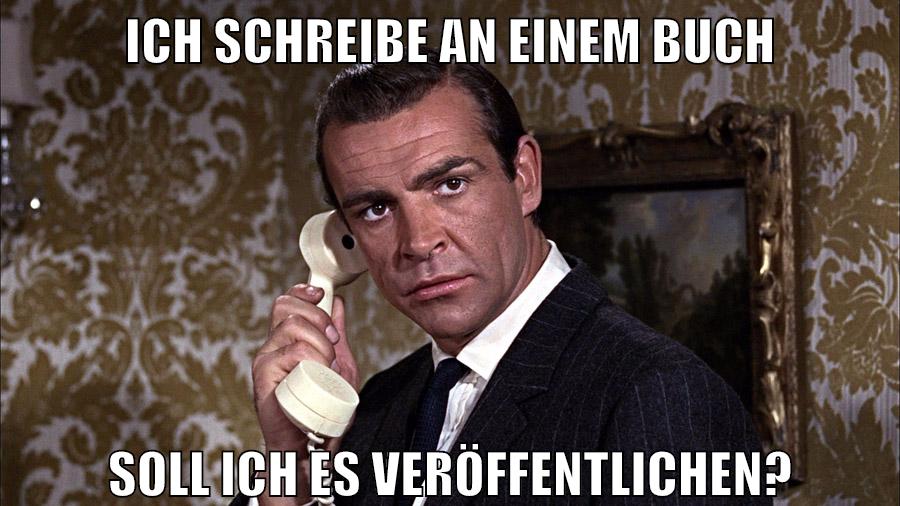 Ich schreibe an einem Buch Soll ich es veröffentlichen?