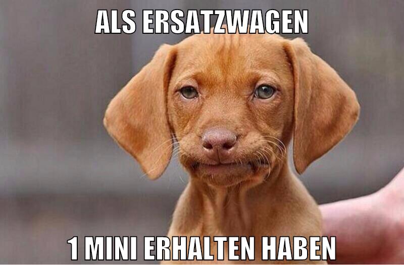 als ersatzwagen 1 Mini erhalten haben