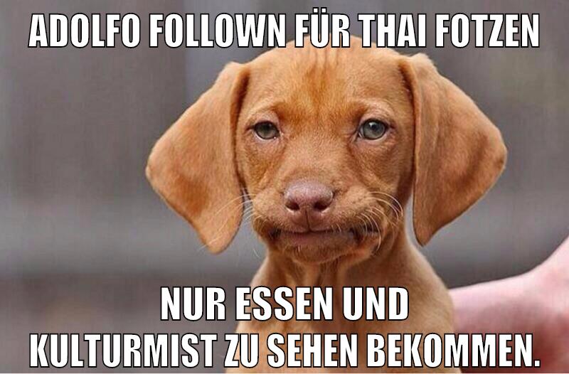 Adolfo follown für thai fotzen nur essen und kulturmist zu sehen bekommen.