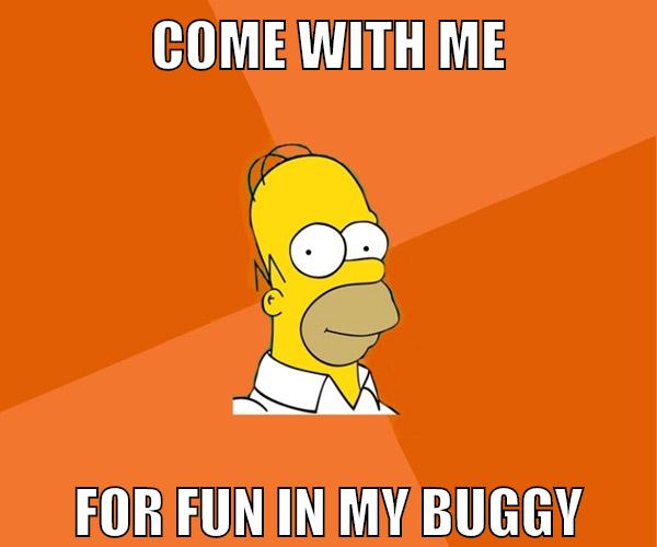 come with me for fun in my buggy