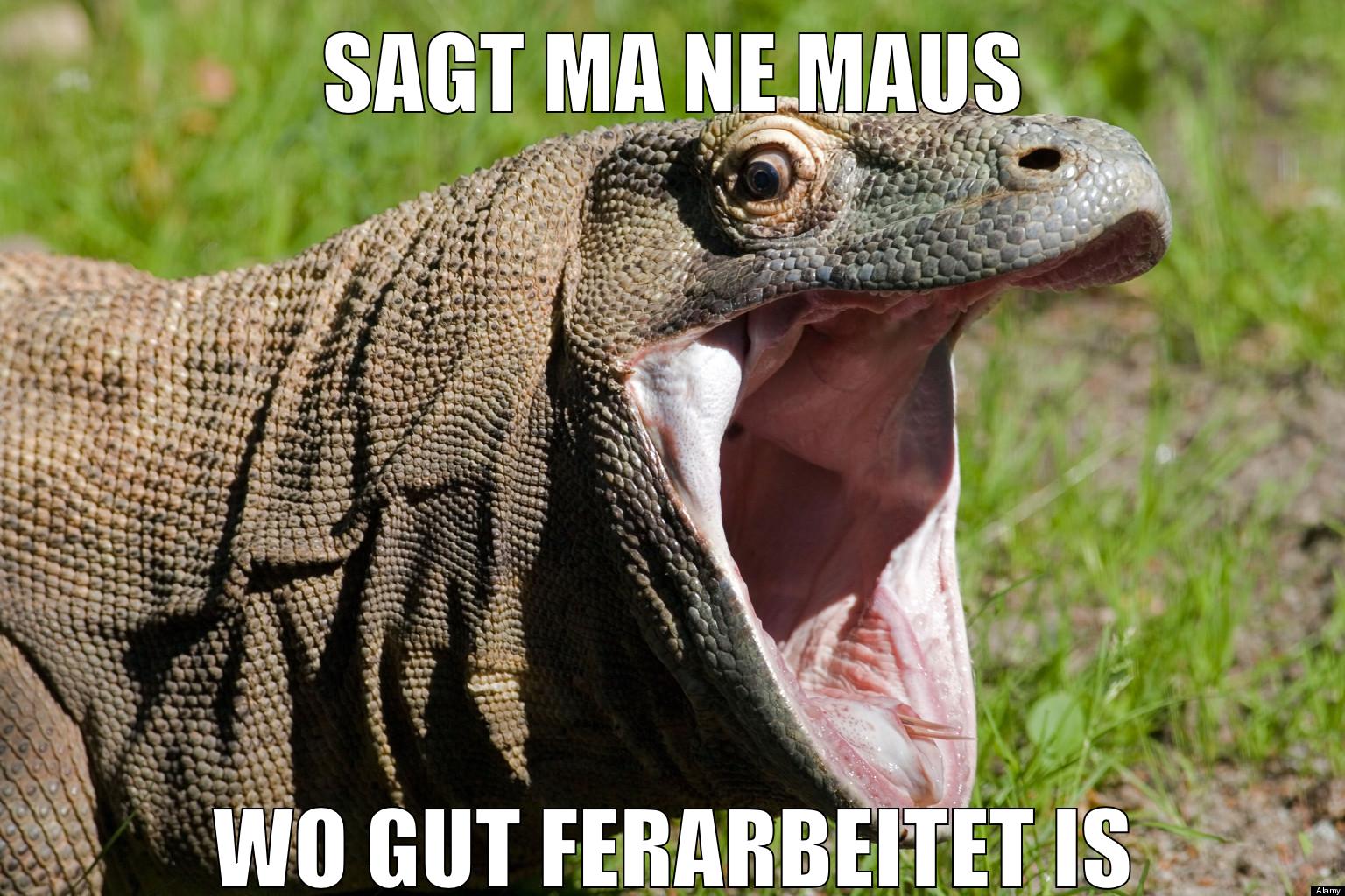 SAGT MA NE MAUS WO GUT FERARBEITET IS