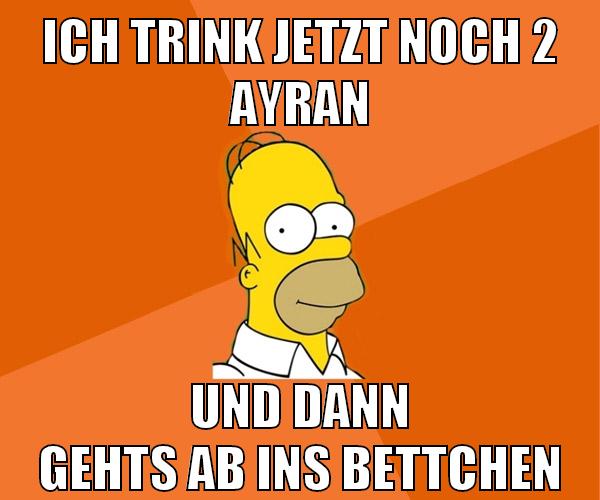 ich trink jetzt noch 2 ayran und dann gehts ab ins bettchen