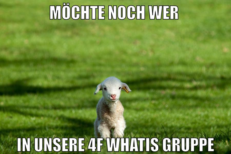 möchte noch wer in unsere 4f Whatis gruppe