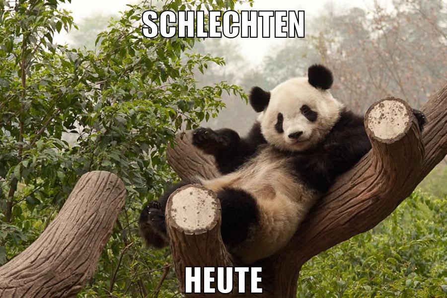 Schlechten heute