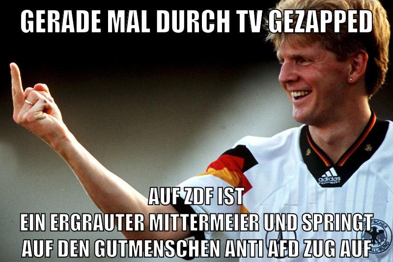 gerade mal durch tv gezapped auf zdf ist ein ergrauter mittermeier und springt auf den gutmenschen anti afd zug auf