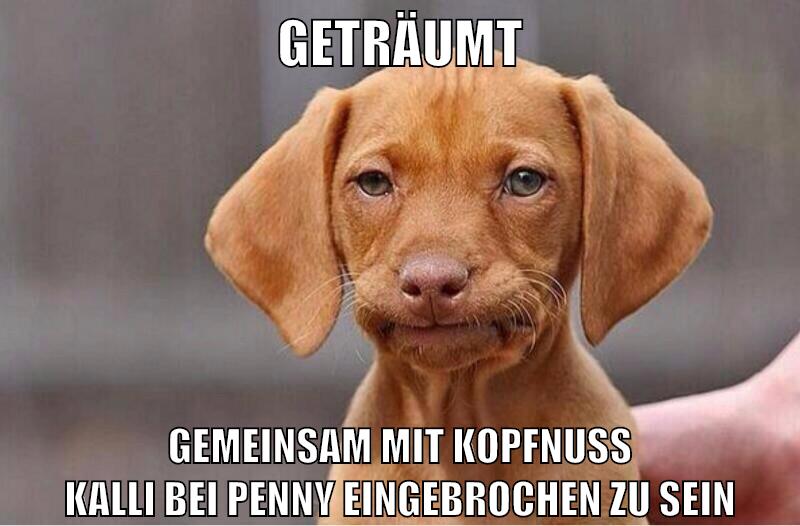 geträumt gemeinsam mit kopfnuss kalli bei penny eingebrochen zu sein