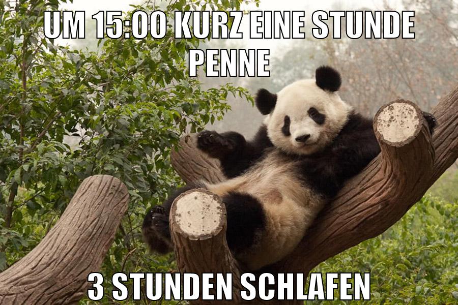 um 15:00 kurz eine stunde penne 3 stunden schlafen