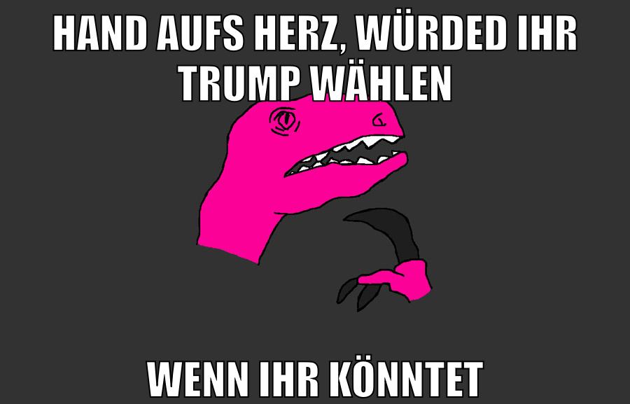 HAND AUFS HERZ, WÜRDED IHR TRUMP WÄHLEN WENN IHR KÖNNTET
