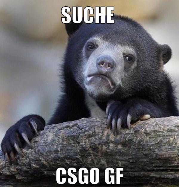suche csgo gf
