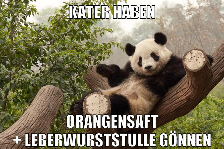 Kater haben Orangensaft + Leberwurststulle gönnen
