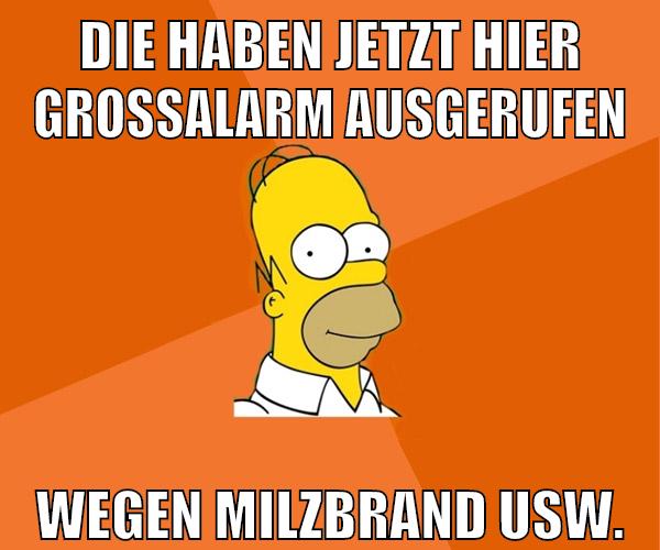 die haben jetzt hier großalarm ausgerufen wegen milzbrand usw.