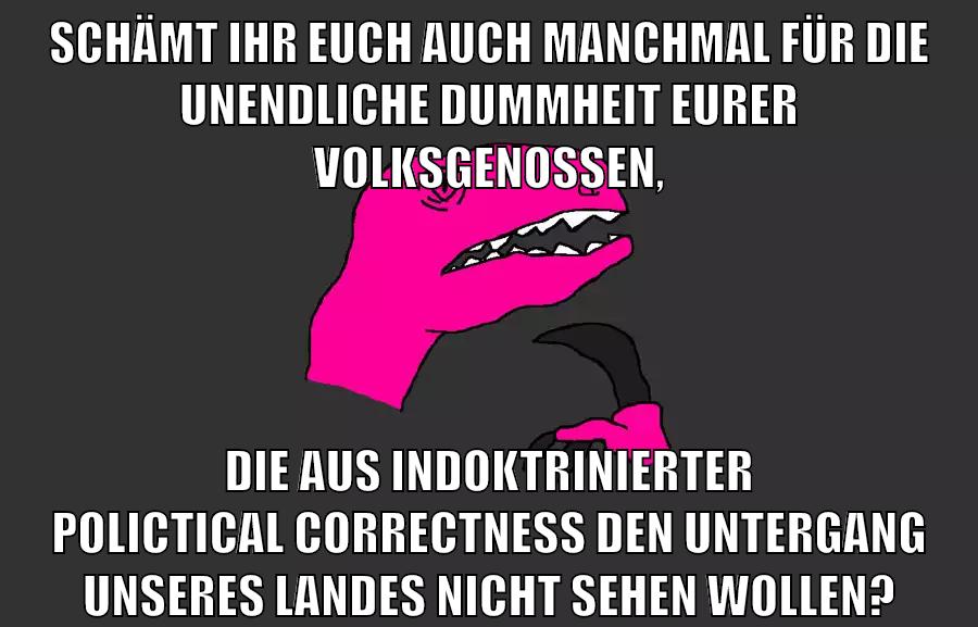 schämt ihr euch auch manchmal für die unendliche dummheit eurer volksgenossen, die aus indoktrinierter polictical correctness den untergang unseres landes nicht sehen wollen?