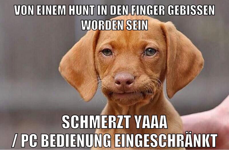 von einem hunt in den finger gebissen worden sein schmerzt yaaa / pc bedienung eingeschränkt